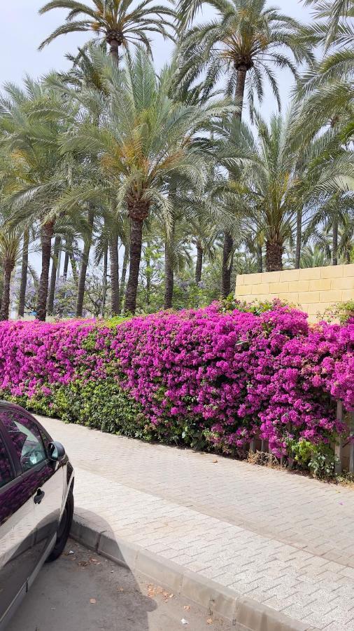 Прекрасная Квартира В Центре Города Санта Пола 산타 폴라 외부 사진
